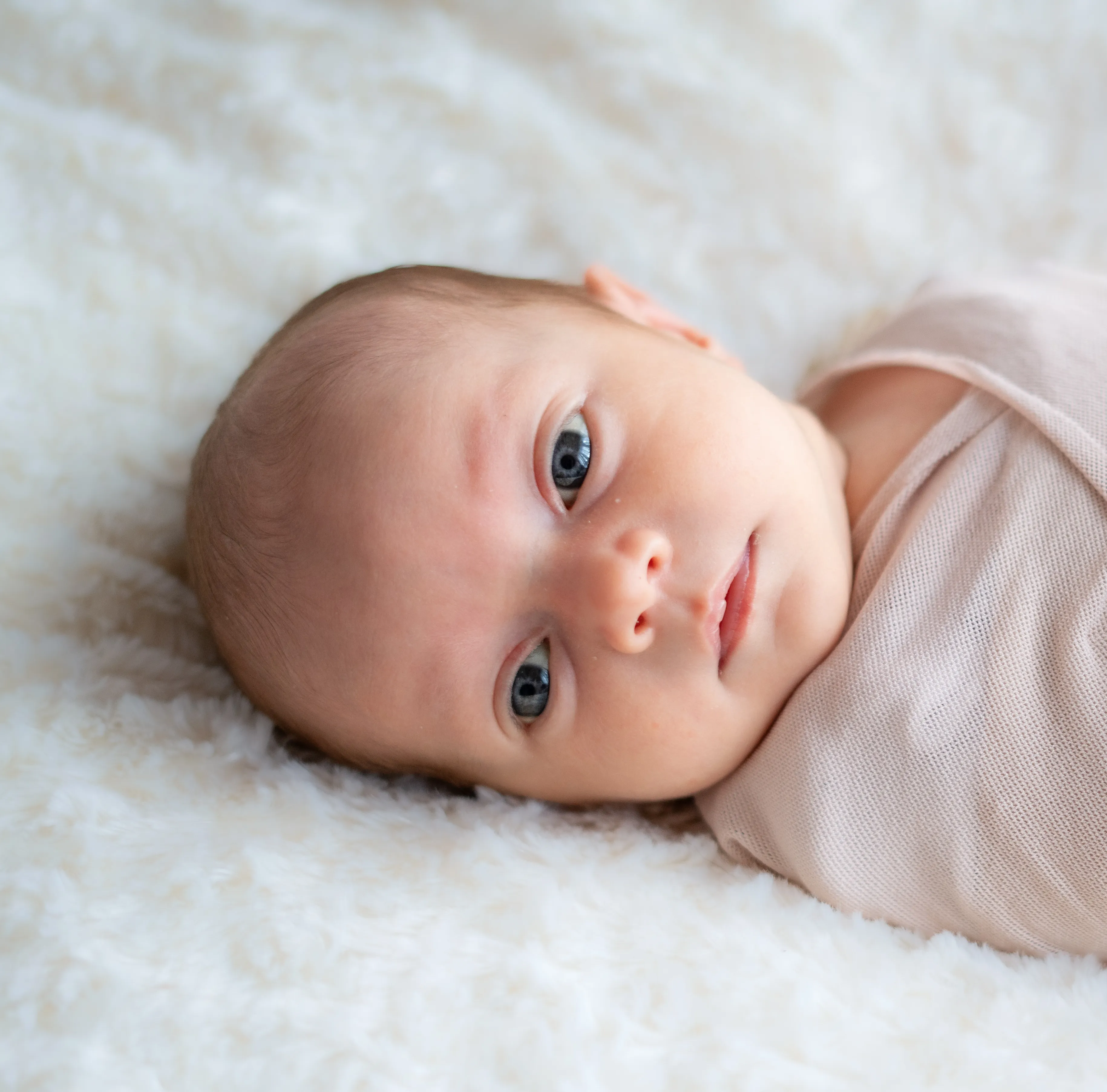 Mini Newborn Shoot